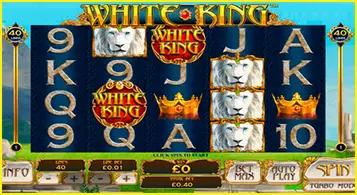 AnyConv.com__Untitled-2-paylines-game-White-King