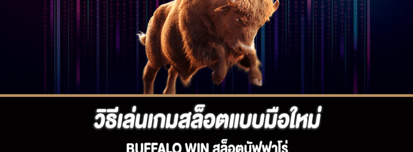 วิธีเล่นเกมสล็อตแบบมือใหม่ Buffalo Win