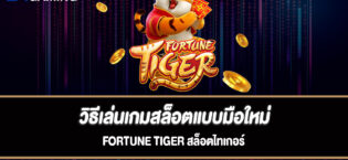 วิธีเล่นเกมสล็อตแบบมือใหม่ Fortune Tiger