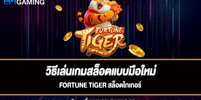 วิธีเล่นเกมสล็อตแบบมือใหม่ Fortune Tiger