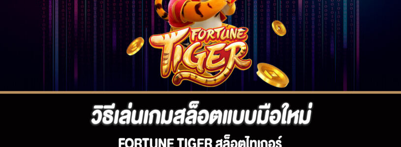 วิธีเล่นเกมสล็อตแบบมือใหม่ Fortune Tiger