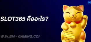 ALLSLOT365 คืออะไร | รีวิวเว็บสล็อตครบวงจร แตกง่าย 2025