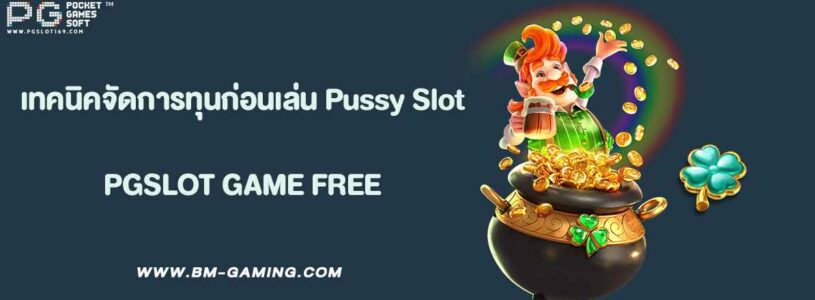 เทคนิคจัดการทุนก่อนเล่น Pussy Slot